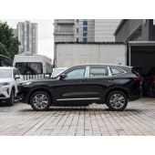 "Haval 哈弗H6新能源        New energy" 2023款 DHT-PHEV 110KM 悦行版