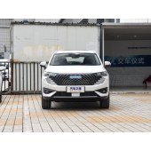 "Haval 哈弗H6新能源        New energy" 2023款 DHT-PHEV 110KM 悦行版