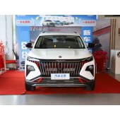 Dongfeng Motor Corporation polar  东风风神皓极  2024款 马赫动力 1.5T 豪华型