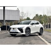 Lexus 雷克萨斯RZ  2023款 450e 四驱纵享版