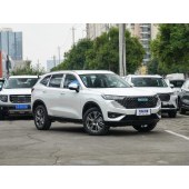 "Haval 哈弗H6新能源        New energy" 2023款 DHT-PHEV 55KM 悦行版