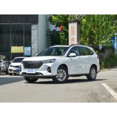 Haval 哈弗M6  2023款 PLUS 1.5T DCT柳岩联名版