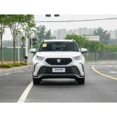 TOYOTA 皇冠陆放 SUV GRAND HIGHLAND  2023款 2.5L HEV四驱旗舰版