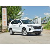 Haval 哈弗M6  2023款 PLUS 1.5T DCT柳岩联名版