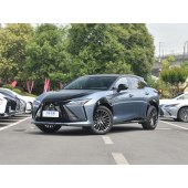 Lexus 雷克萨斯RZ  2023款 450e 四驱纵领版