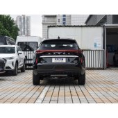 "Haval 哈弗H6新能源        New energy" 2023款 DHT-PHEV 110KM 悦行版