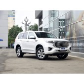 Haval 哈弗H9  2022款 2.0T 汽油四驱尊贵型 7座