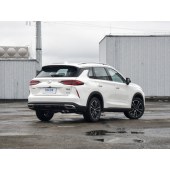 Trumpchi 传祺GS4 PLUS "2023款 390T 自动星系版 "