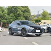 Lexus 雷克萨斯RZ  2023款 450e 四驱纵领版