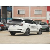 领克09新能源 LYNK&CO  New energy vehicles 2023款 2.0TD EM-P 远航版AM 六座