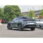 Lexus 雷克萨斯RZ  2023款 450e 四驱纵领版