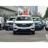 "Haval 哈弗H6新能源        New energy" 2023款 DHT-PHEV 55KM 悦行版