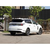 领克09新能源 LYNK&CO New energy vehicles   2023款 2.0TD EM-P 远航版PM 六座