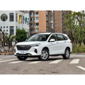 Haval 哈弗M6  2023款 PLUS 1.5T DCT精英智联型