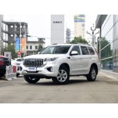 Haval 哈弗H9  2022款 2.0T 汽油四驱尊贵型 7座