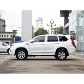 Haval 哈弗H9  2022款 2.0T 汽油四驱尊贵型 7座