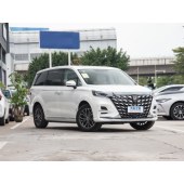 ROEWE 荣威iMAX8 EV  2022款 黄金版