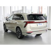 WEY DHT-PHEV魏牌 蓝山DHT-PHEV  2023款 两驱长续航版