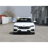 Skoda OCTAVIA 斯柯达明锐  2023款 改款 PRO TSI280 奢享版