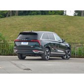 WEY DHT-PHEV魏牌 蓝山DHT-PHEV2023款 四驱超长续航