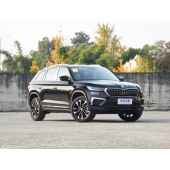 Skoda Kodiaq  柯迪亚克   2024款 TSI330 5座两驱奢享版