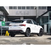 Skoda Kodiaq 柯迪亚克GT  2023款 改款 TSI380 四驱旗舰版