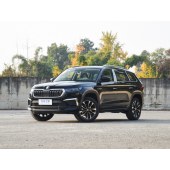 Skoda Kodiaq  柯迪亚克   2024款 TSI330 5座两驱奢享版