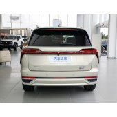 WEY DHT-PHEV魏牌 蓝山DHT-PHEV  2023款 两驱长续航版