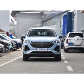 WEY Coffee 01魏牌 拿铁DHT-PHEV  2022款 1.5T 两驱超大杯