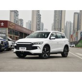 BYD SONG Pro New energy 2024 RYB DM-i 110KM   CYX