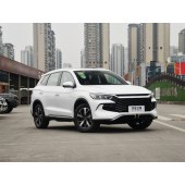 BYD SONG Pro New energy 2024 RYB DM-i 110KM   CYX