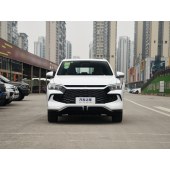 BYD SONG Pro New energy 2024 RYB DM-i 110KM   CYX