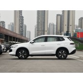 BYD SONG Pro New energy 2024 RYB DM-i 110KM   CYX