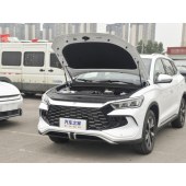 BYD SONG Pro New energy 2024 RYB DM-i 110KM   CYX