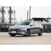 BYD destroye 2024 K RYB DM-i 120KM   ZGX