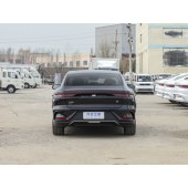 BYD Han 2024 DM-i RYB 121KM ZGX