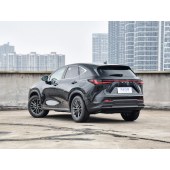 Lexus NX  2024K 260 QQ CYB