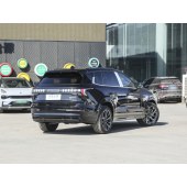 LYNK&CO  09 New energy vehicles 2024K 2.0TD EM-P PRO QZ