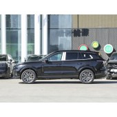 LYNK&CO  09 New energy vehicles 2024K 2.0TD EM-P PRO QZ