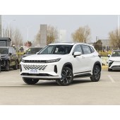 EXEED LX ZF PHEV 2024K C-DM 1.5TCI 105KMYXB